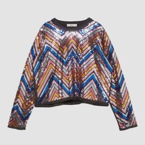 Zara Multicolor Sequin Chevron Top